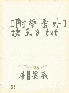 [附带番外]《攻玉》txt