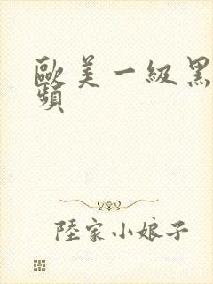 欧美一级黑人视频