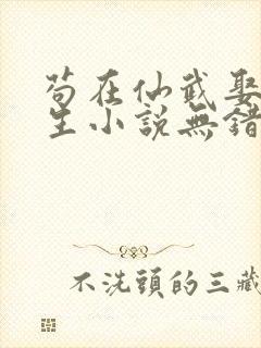 苟在仙武娶妻长生小说无错版笔趣阁封面