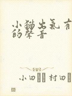 小猫出气有呼呼的声音