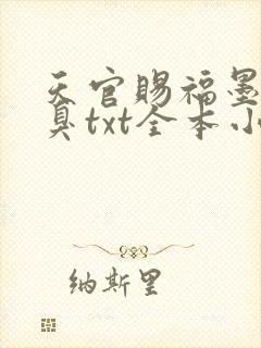 天官赐福墨香铜臭txt全本小说封面