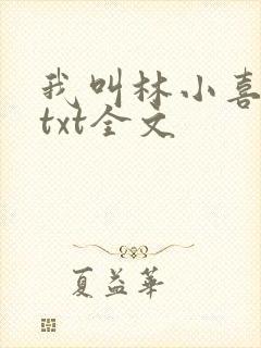 我叫林小喜乖宝txt全文封面