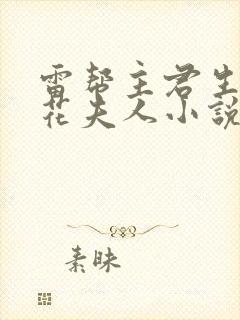 雷帮主君生干夜花夫人小说免费阅读封面