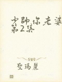 少帅你老婆又跑第2集