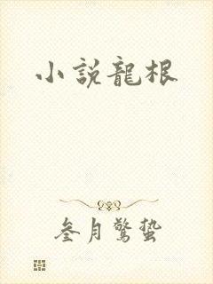 小说龙根