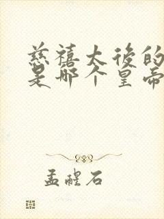 慈禧太后的儿子是哪个皇帝封面