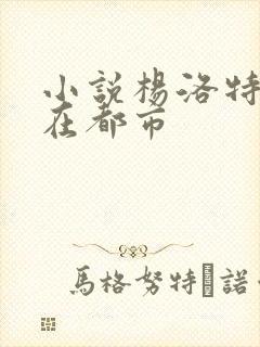 小说杨洛特种兵在都市