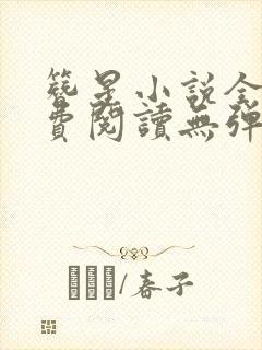 簪星小说全文免费阅读无弹窗