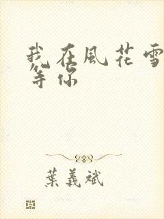 我在风花雪月里等你