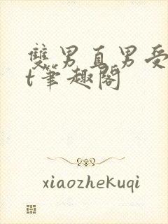 双男直男受txt笔趣阁封面