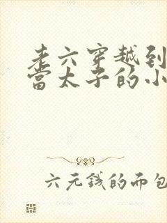 老六穿越到古代当太子的小说