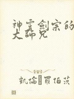 神霄剑宗的废材大师兄