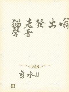 猫老发出嗡嗡的声音封面