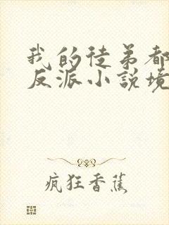 我的徒弟都是大反派小说境界划分