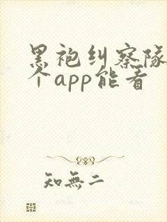 黑袍纠察队在哪个app能看