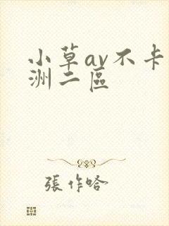 小草av不卡亚洲二区
