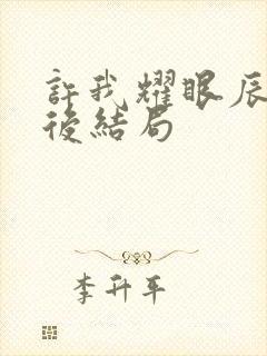 许我耀眼辰辰最后结局