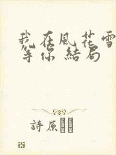 我在风花雪月里等你 结局