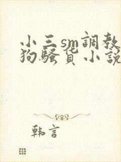 小三sm调教母狗骚货小说