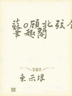 苏o顾北弦全文笔趣阁封面