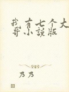 我有七个大佬哥哥小说版