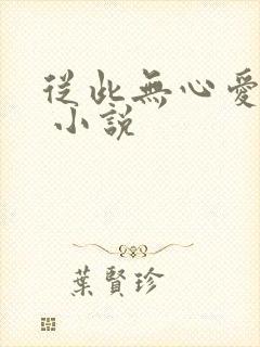 从此无心爱良夜 小说