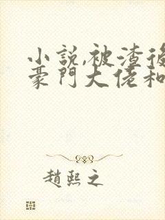 小说,被渣后,豪门大佬和我闪婚了