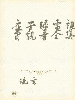 夜子归电视剧免费观看全集高清