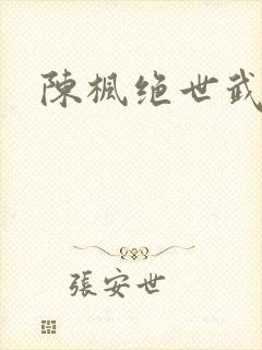 陈枫绝世武魂封面