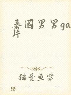 泰国男男gay片封面