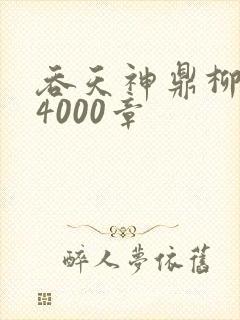 吞天神鼎柳无邪4000章