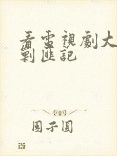 看电视剧大西南剿匪记