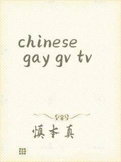 chinese gay gv tv
