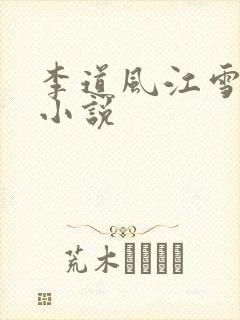 李道风江雪瑶的小说