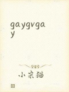 gaygvgay封面
