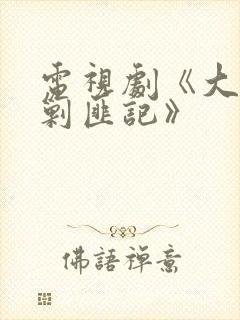 电视剧《大西南剿匪记》封面