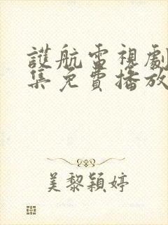 护航电视剧40集免费播放