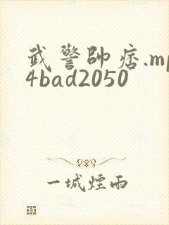 武警帅痞.mp4bad2050
