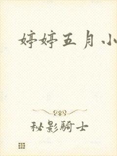 婷婷五月小说封面