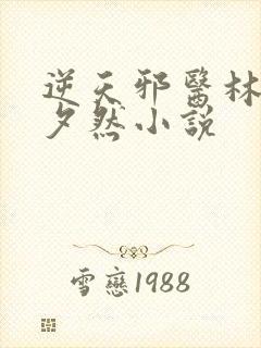 逆天邪医林辰苏夕然小说