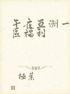 午夜亚洲一区二区福利