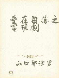 爱在日落之前 电视剧