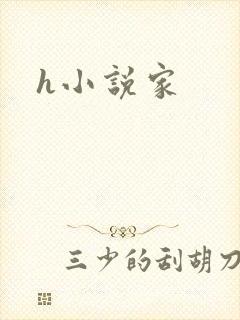 h小说家封面