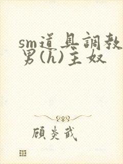 sm道具调教男男(h)主奴