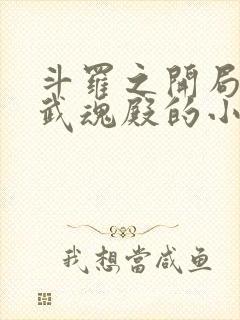 斗罗之开局加入武魂殿的小说