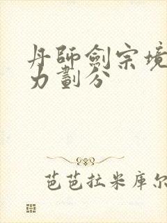 丹师剑宗境界实力划分