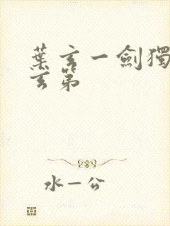 叶玄一剑独尊叶玄第