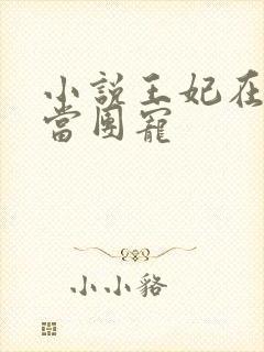 小说王妃在京城当团宠