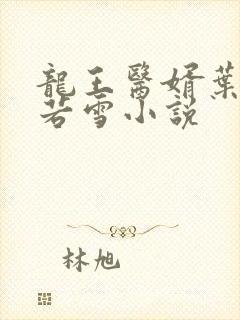 龙王医婿叶凡唐若雪小说封面