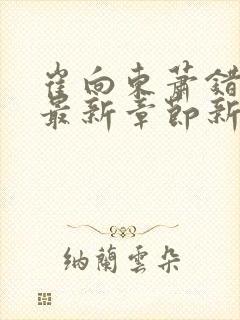 崔向东萧错小说最新章节新笔趣阁